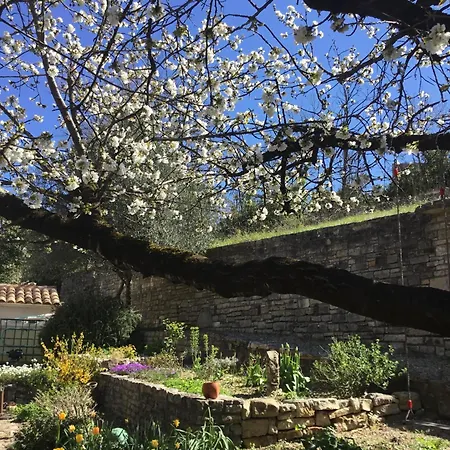 Petit Centre Chez Art & Hasards Barjac (Gard)